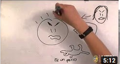 Video 1